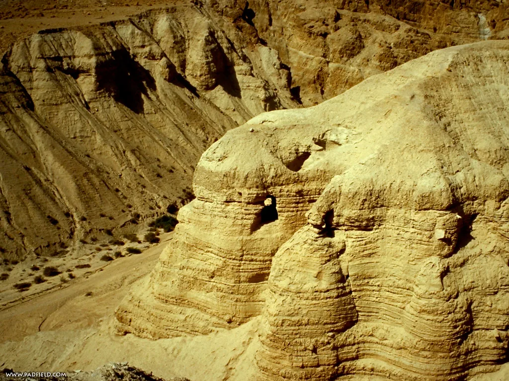 The Best Fort Ever! Soul Shepherding