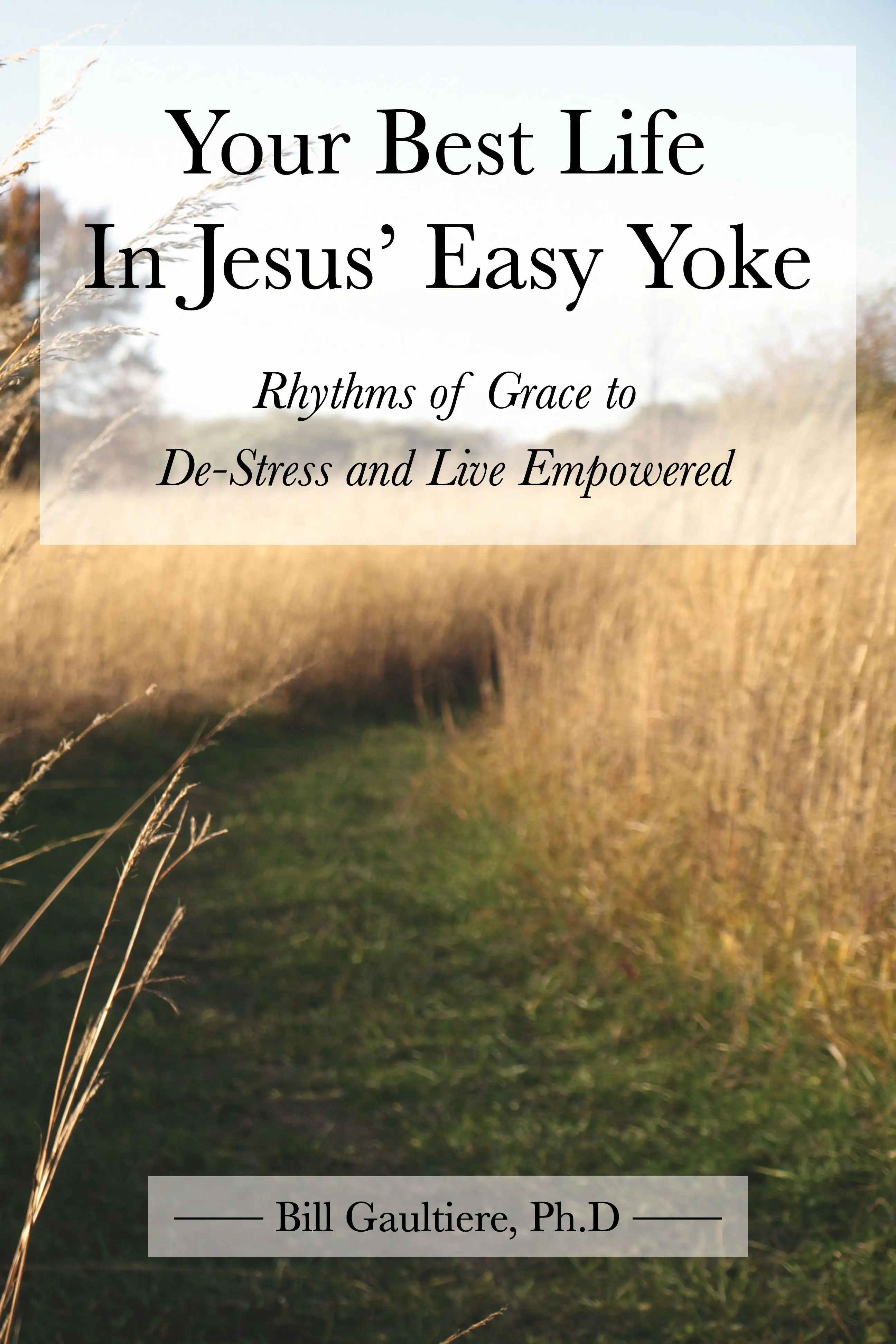 Your Best Life In Jesus' Easy Yoke Soul Shepherding