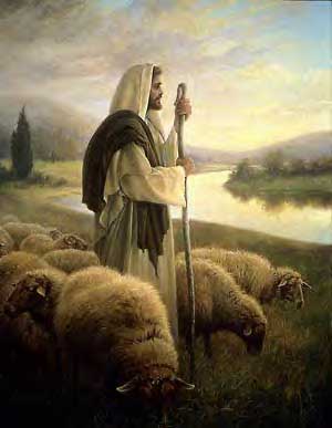 bible shepherd shepherding psalm soul