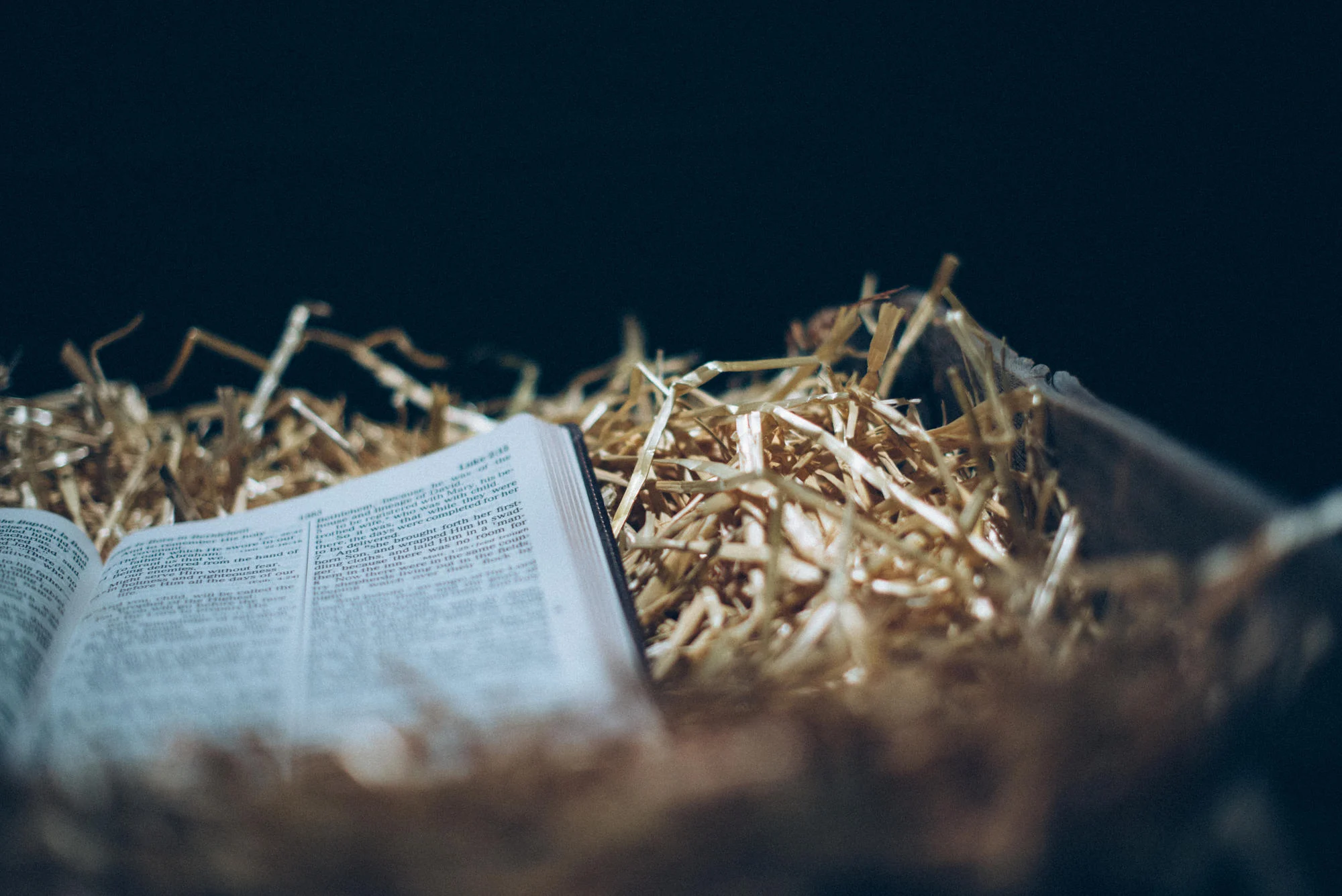 The Surprising Advent of the Trinity Soul Shepherding