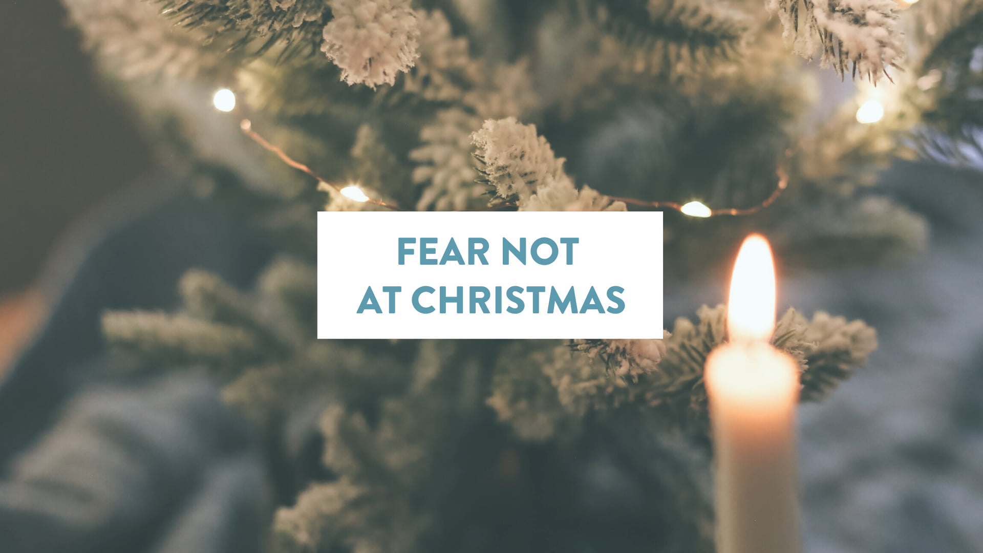 Fear Not at Christmas Soul Shepherding